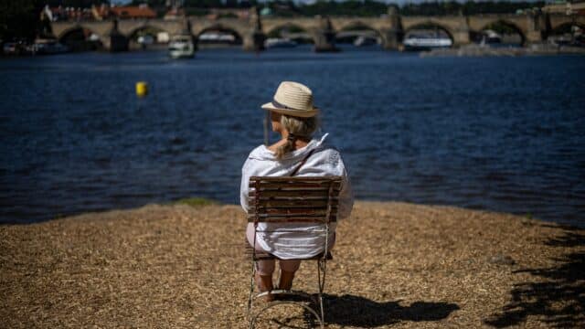 IVF for Single Women Raises New Conflict of Interest Questions for Czech PM