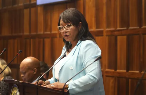 Winde shakes up Western Cape Cabinet with two new MECs