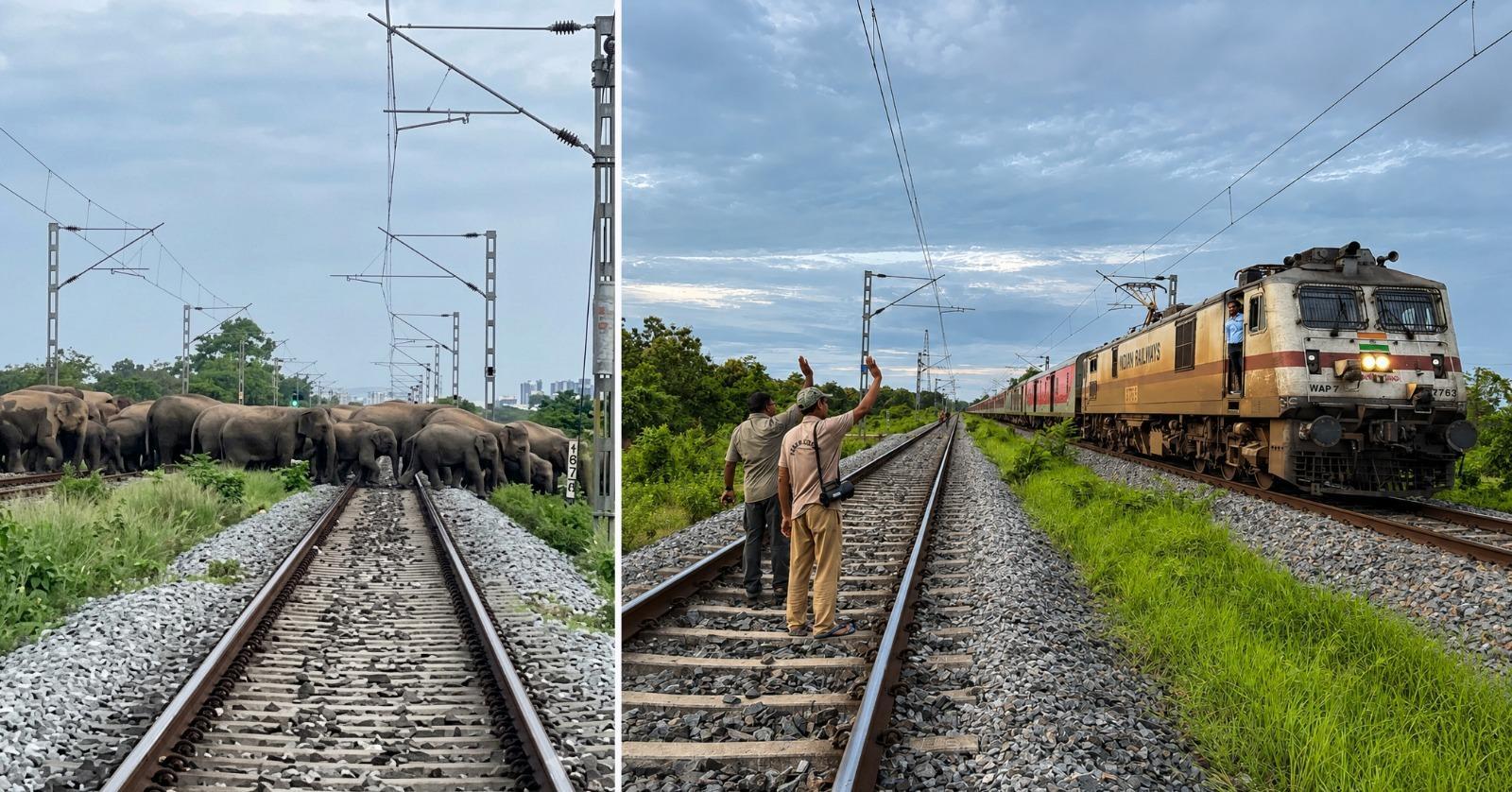 Rajdhani waits as 90 jumbos cross rail tracks
