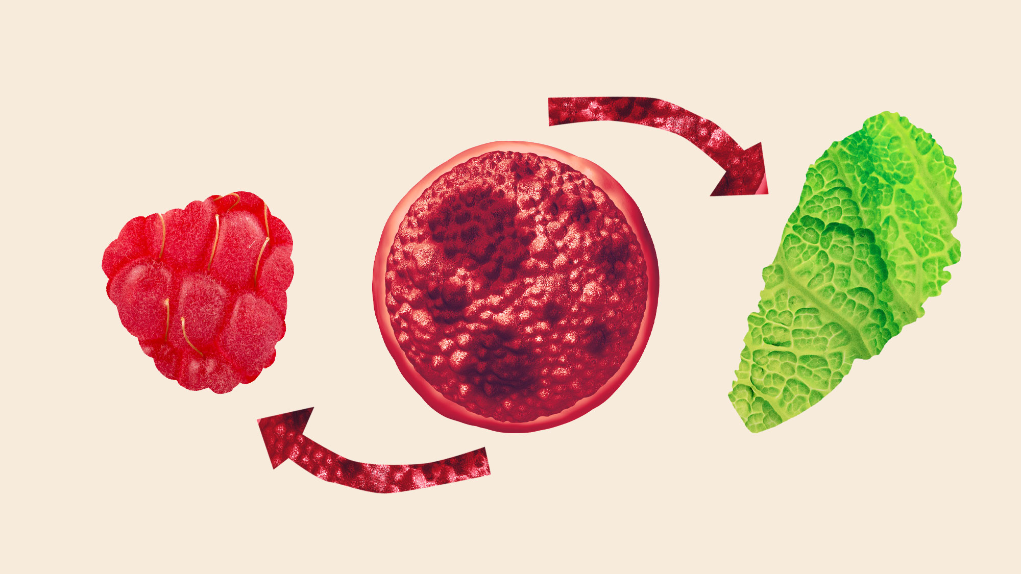 Who’s most at risk in the cyclospora outbreak? The farmworkers on the front lines.