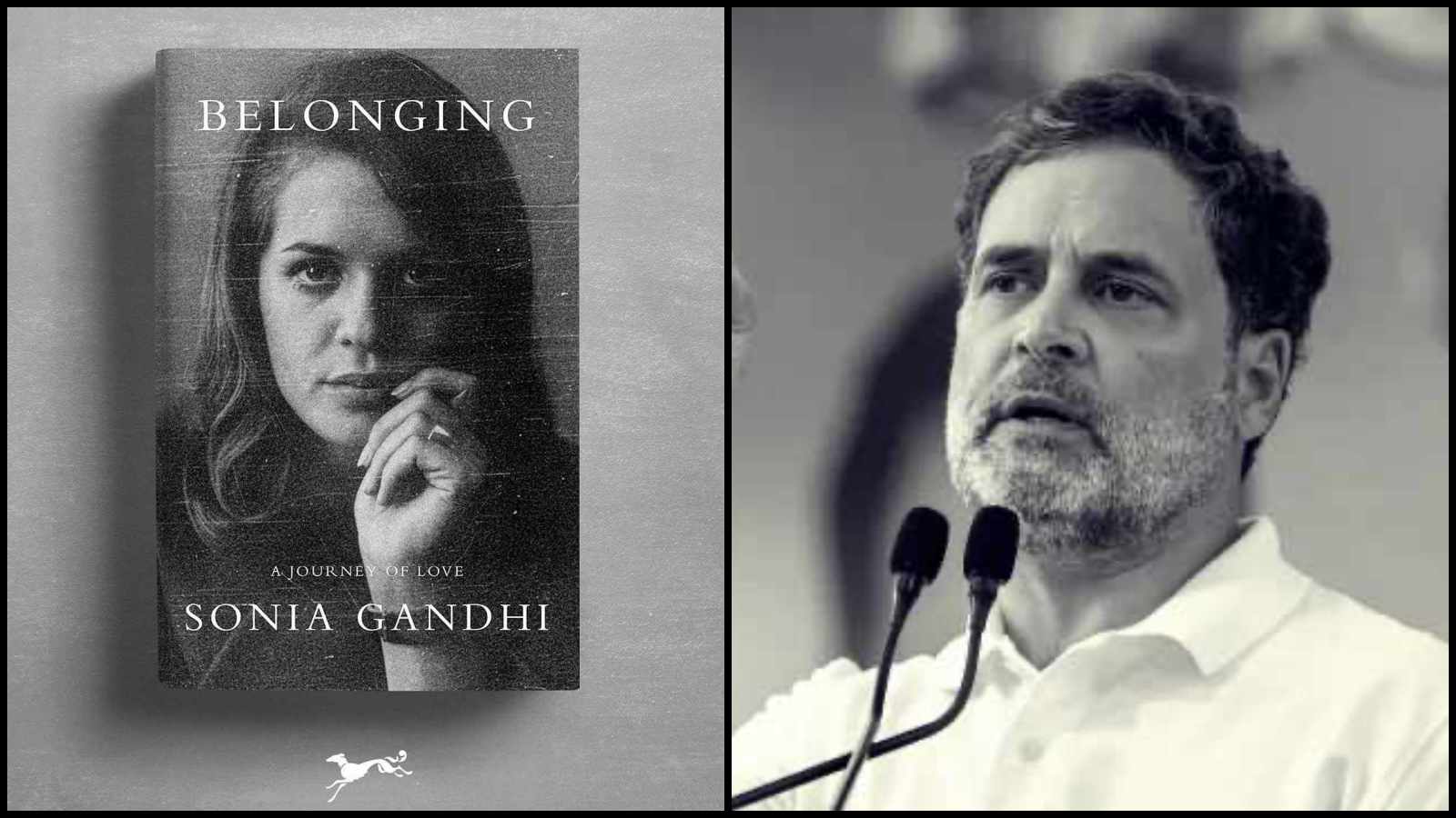 ‘Only Priyanka and I know…’: Rahul Gandhi’s emotional note to mother Sonia on her upcoming memoir