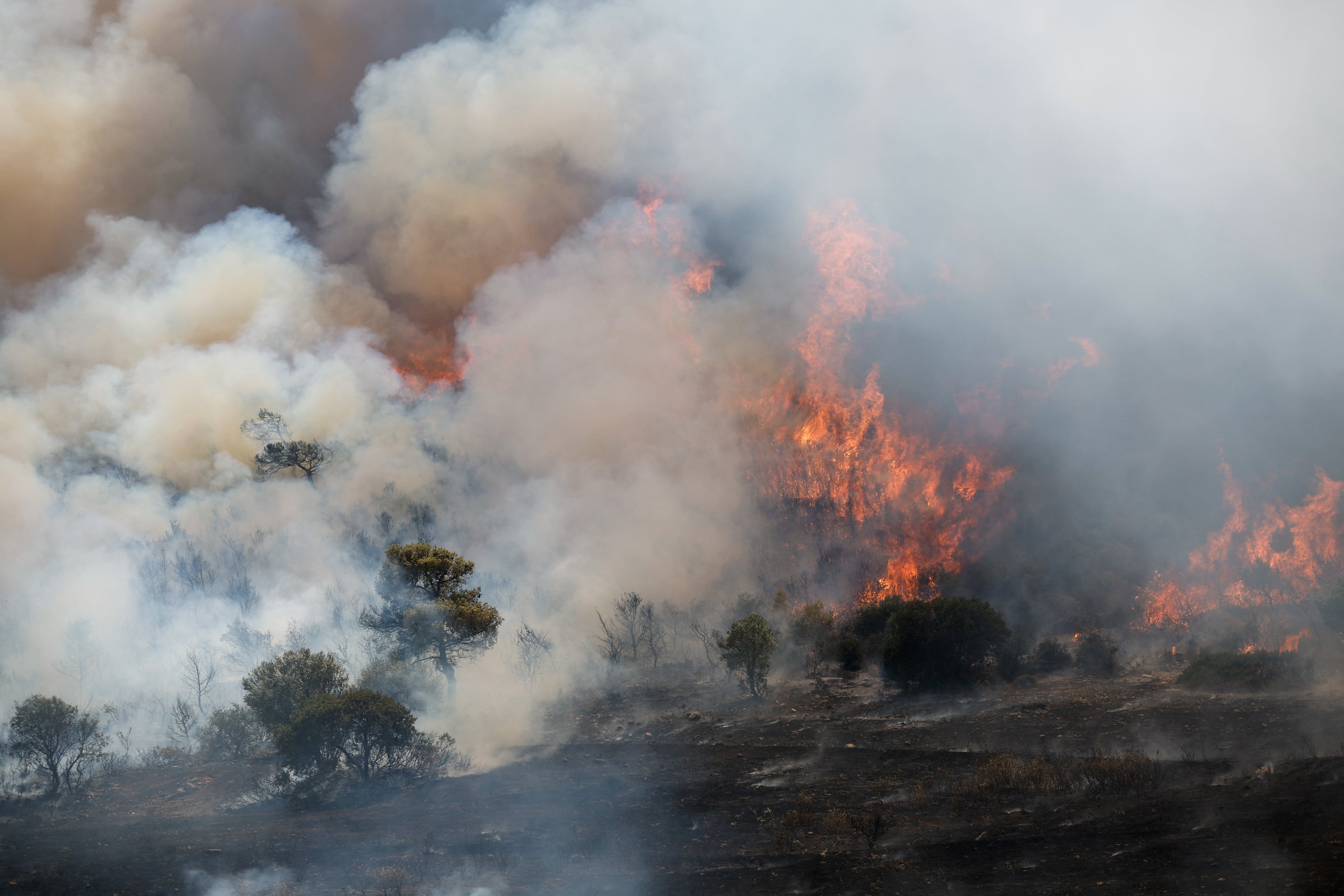 Area in Europe affected by wildfires could triple as a result of climate change