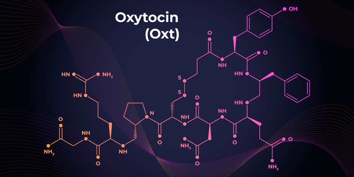 New study tracks oxytocin spikes in MDMA therapy trials