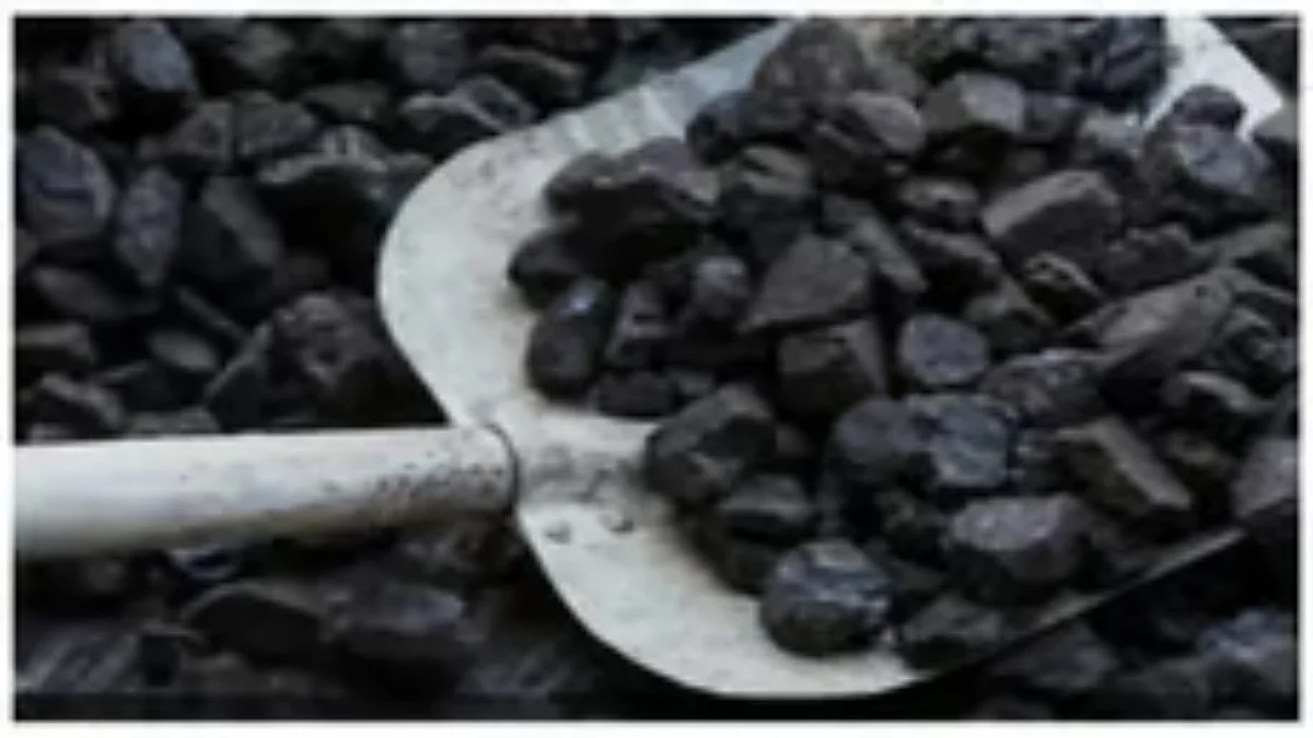 SAIL Welcomes Mines And Minerals Amendment Act, Says Reforms Will Strengthen Mining Viability