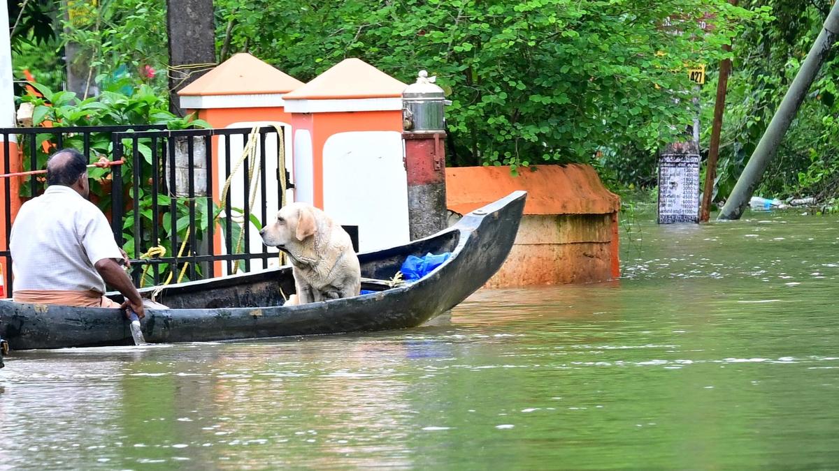 Kerala rains: More heavy rainfall likely in flood-hit regions as IMD sounds red alert in three districts