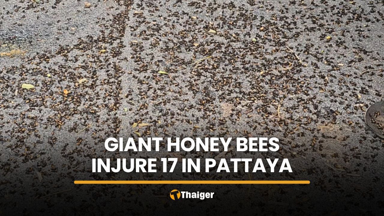 Giant honey bee attack leaves 17 injured in Pattaya