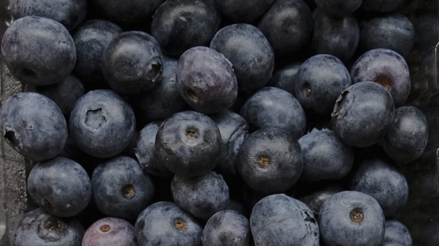 Frozen blueberries recall categorized under FDA's highest Class I risk level