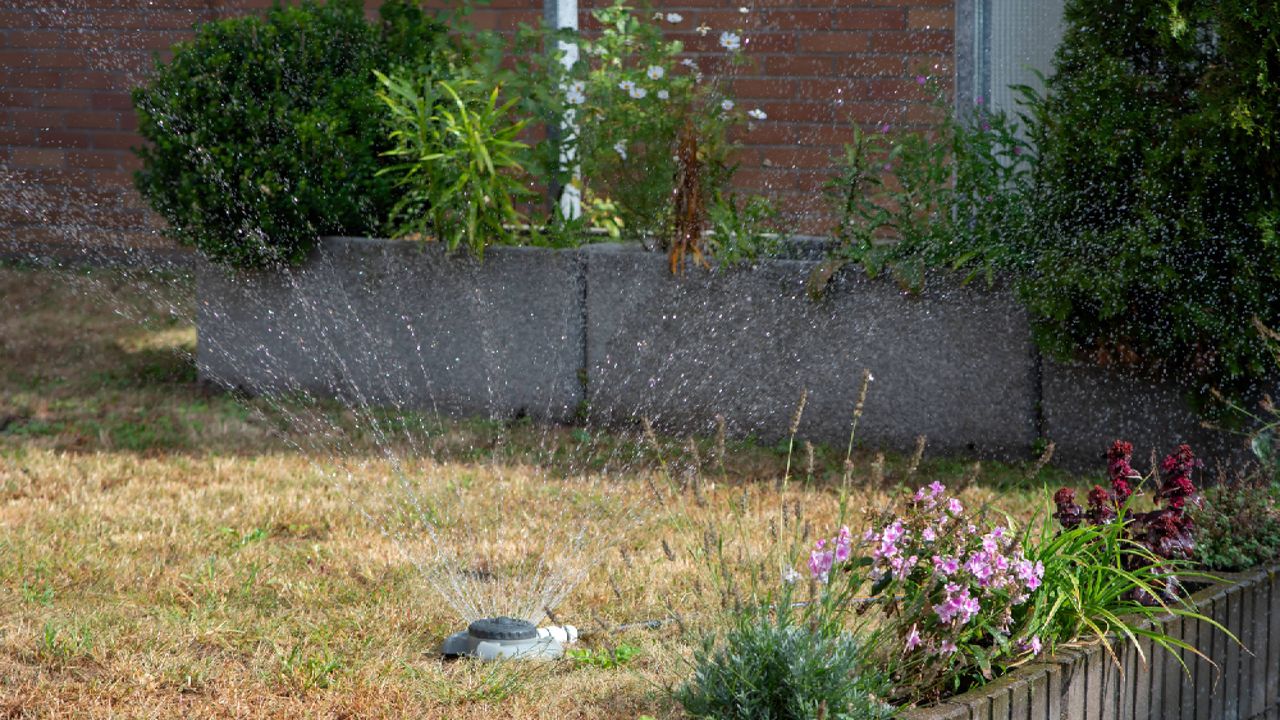 My lawn was completely fried after the heatwave — to save it I had to stop making these 3 mistakes