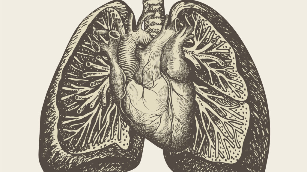 STAT+: Biotech’s next big bet: A Tenax study of a heart failure treatment