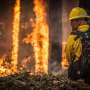 Over 75% of UK wetlands have been destroyed—restoring them would help prevent wildfires