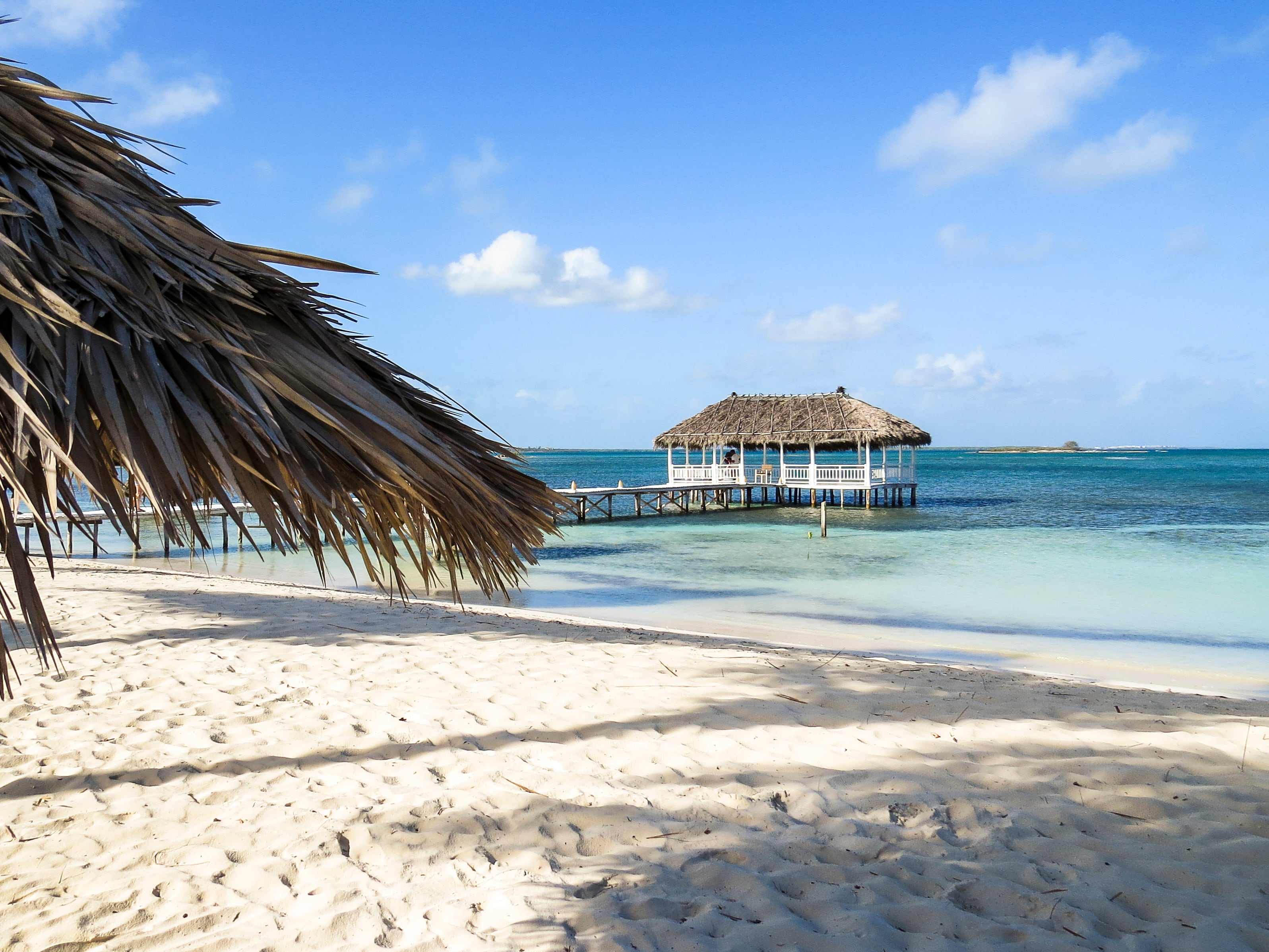 The Cuban government is open to the plan of an Arab investor to develop ‘Trump Island’