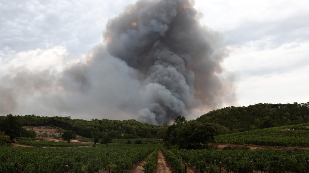French winemakers worry about 'smoky taste' after wildfires