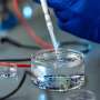 Bioengineers develop biochemical halo to cloak insulin-producing cells from body defenses