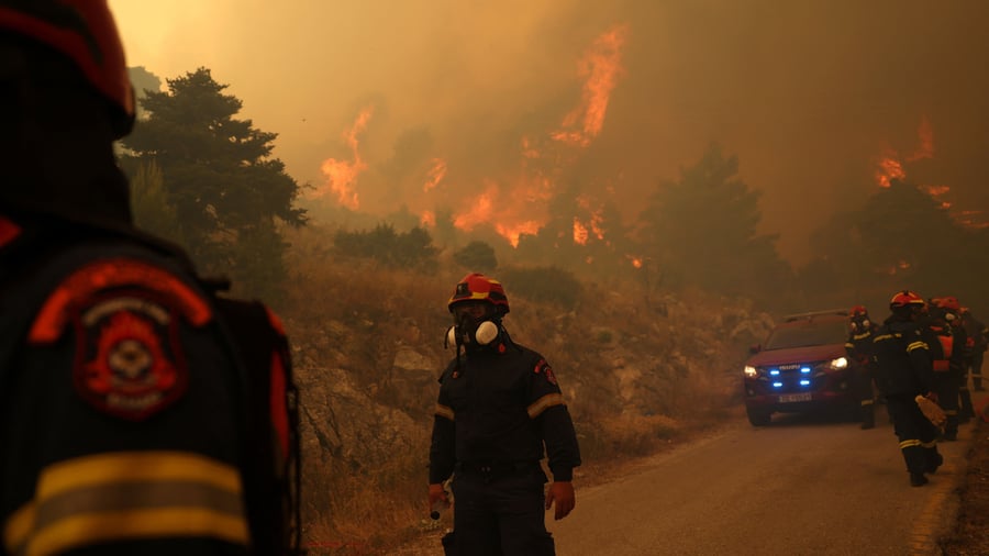 Reinsurer: Swiss Re CEO Berger calls for better protection against forest fires