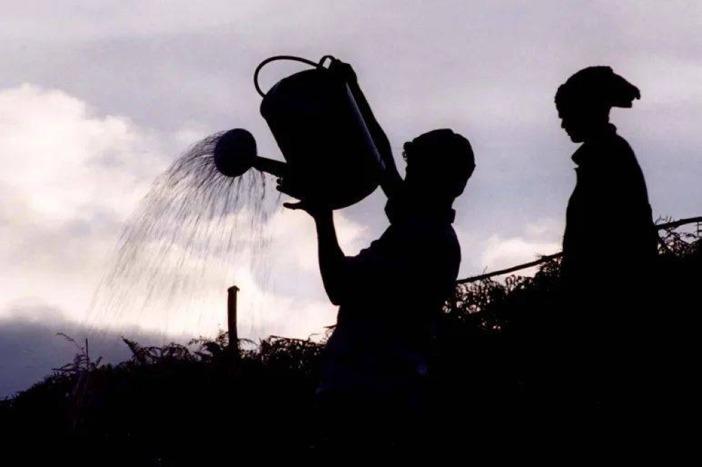 Governments brace for historic El Nino impacts on global weather extremes