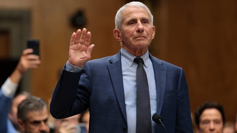 US Senate committe votes to hold Fauci in contempt