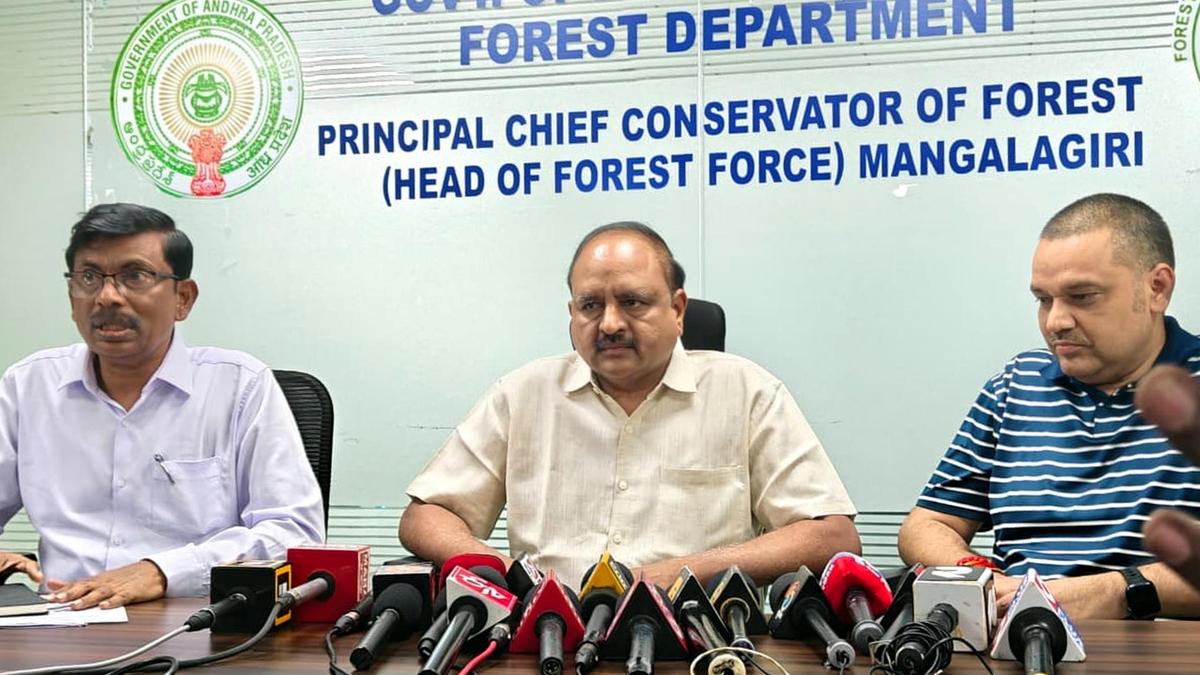 Death of two tigers: one was poached, the other died of natural causes, says high-level panel