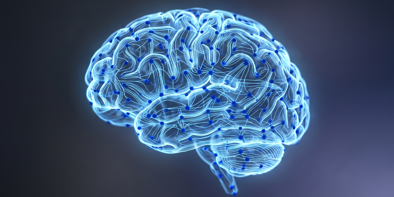 ADHD medication helps children focus by stabilizing brain networks, new study suggests