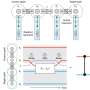 Two-qubit entangling gate flags its own errors as detectable photon losses