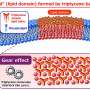 Interlocking molecular propellers create stable 'islands' in artificial lipid membranes
