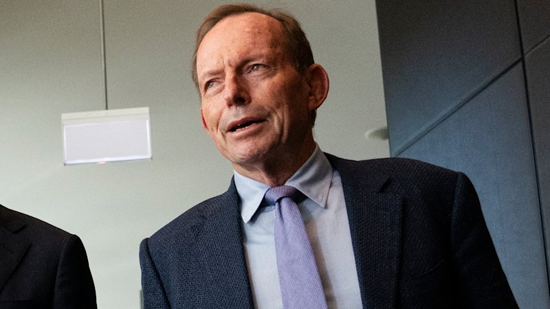 Tony Abbott opens door to new candidate to counter rogue Liberal senator Antic