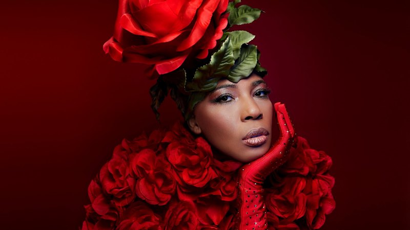 Macy Gray was dumped by her record label while pregnant. Then her career really took off