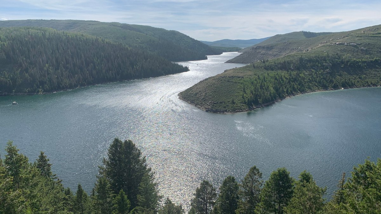 Utah's 1990 record rotenone killed 99% fish, now 715K catches a year