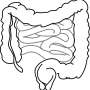 Nearly 1 in 100 Canadians has inflammatory bowel disease. Too many believe it rules out having children