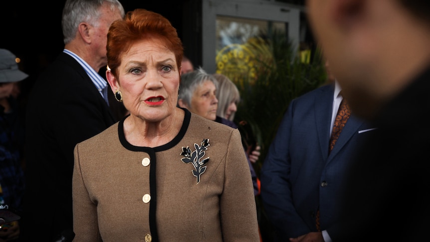 Breaking: Man, 47, charged with threatening to kill Pauline Hanson