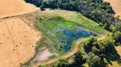 Experts battling extinctions after record heat