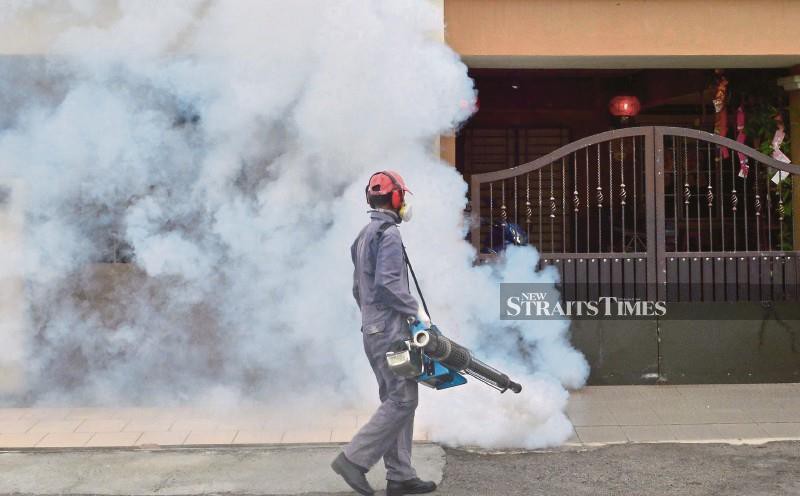 Dengue cases rise 56.2 per cent, 55 deaths recorded