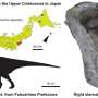 Small dinosaur fossil suggests Fukushima coast hosted iguanodontians of different sizes