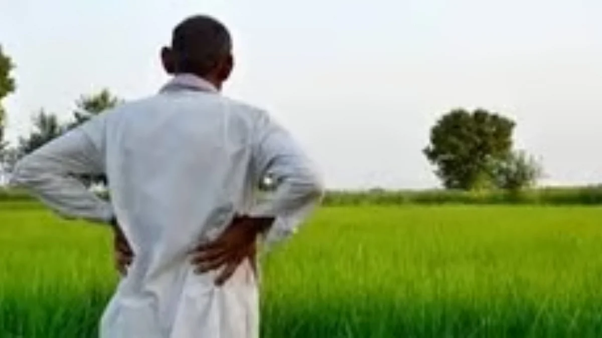 PM-AASHA Procurement, Digital Reforms Aim To Boost Farmer Incomes
