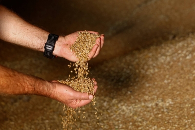 Russian strikes leave Ukraine farmers with piles of unsold grain