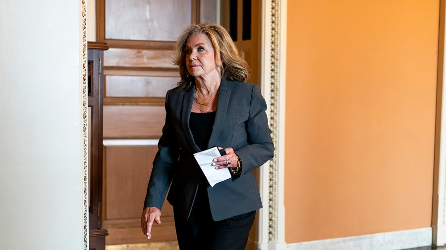 Live results: Blackburn, Rose face off for GOP nod in Tennessee governor's race