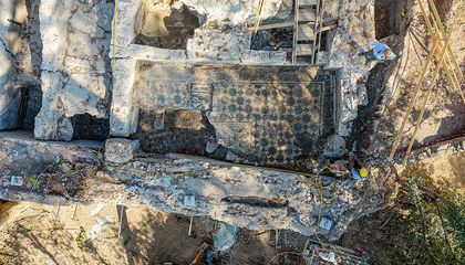 This Marine-Life Mosaic Discovered Near the Colosseum Offers a Surprising Clue—Its Building May Have Housed Firefighters in Ancient Rome