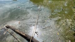 Murky pond will cost £100k for full restoration