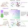 From planning to action: Fundamental insights on movement planning in the brain