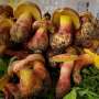 Q&A: Mushroom behind 'tiny people' hallucinations identified