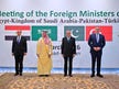 Eight Muslim-majority countries condemn Israel's E1 settlement plan in West Bank