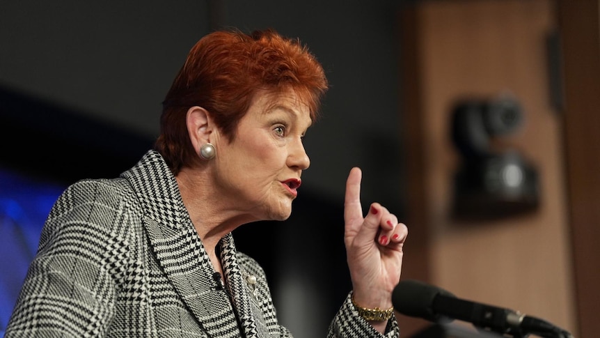 How much does it cost to fight Pauline Hanson? Labor has options