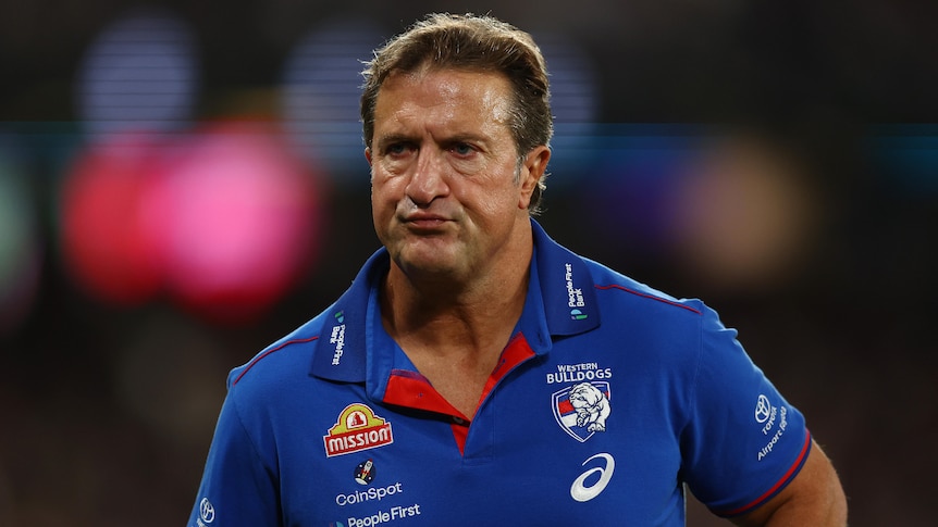 Dogs coach says he would have signed concussion waiver to keep playing