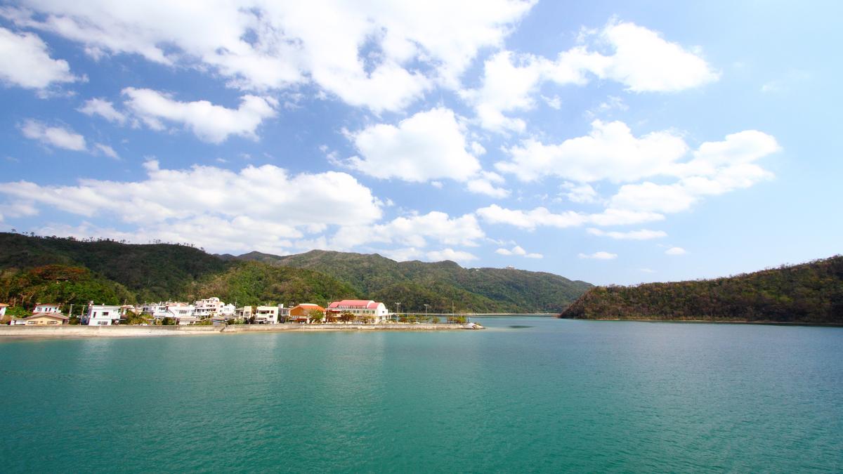 Okinawa: life in a blue zone