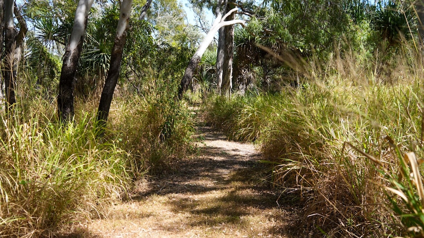 Nine arrested after teenager bashed and tied to tree