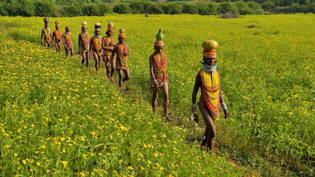 National Handloom Day: Inside the Bonda tribe’s enduring Ringa weaving tradition
