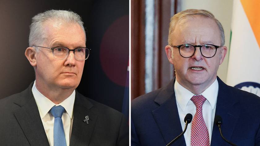 Labor is split on plans to ‘performatively’ reduce migration. Good