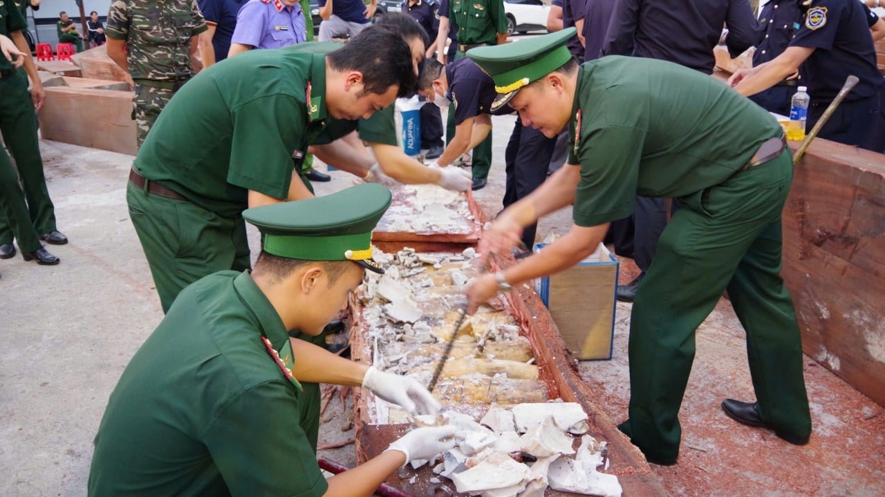 China banned ivory, but Vietnamese gangs keep the trade alive