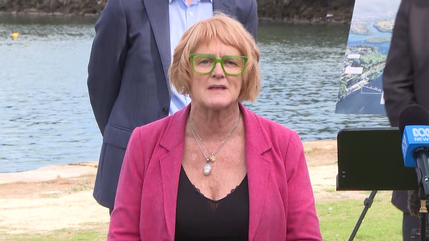 Labor MP questions social media value after alleged online threats