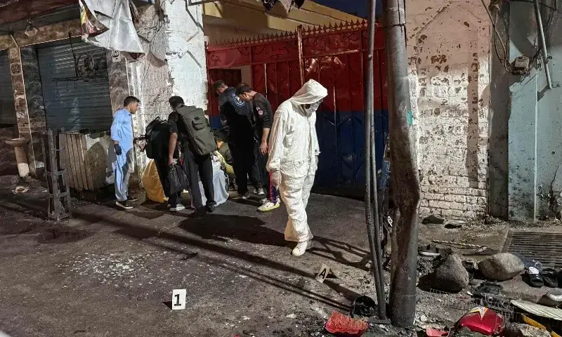 UNSC condemns Swat suicide blast after Pakistan sounds alarm on Afghan terrorist havens