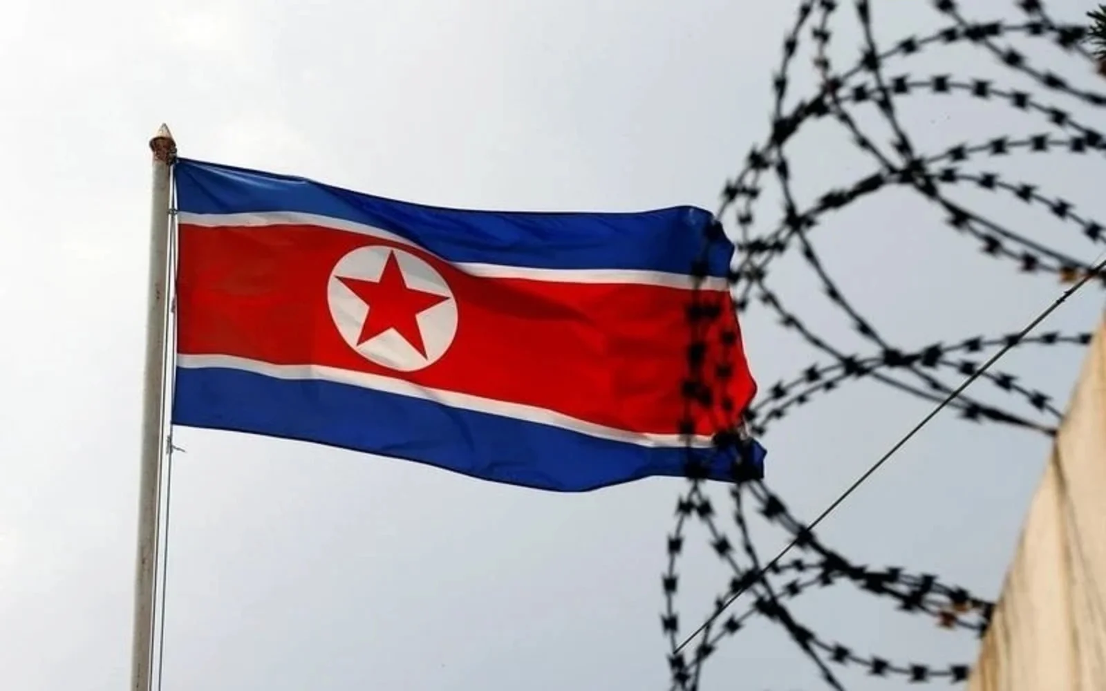 North Koreans urged to beat record heat with dog-meat soup